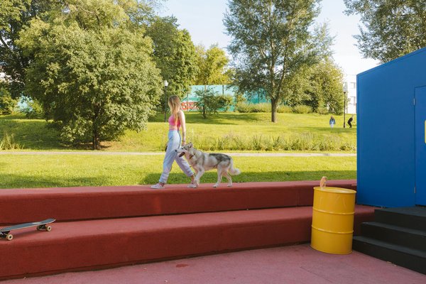 Comment reconnaître les différentes races de chat